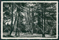 Trento Coredo PIEGHINA Foto FG cartolina ZK4451 – fronte