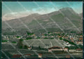 Bolzano Merano Ippodromo Foto FG cartolina ZK4489 – fronte