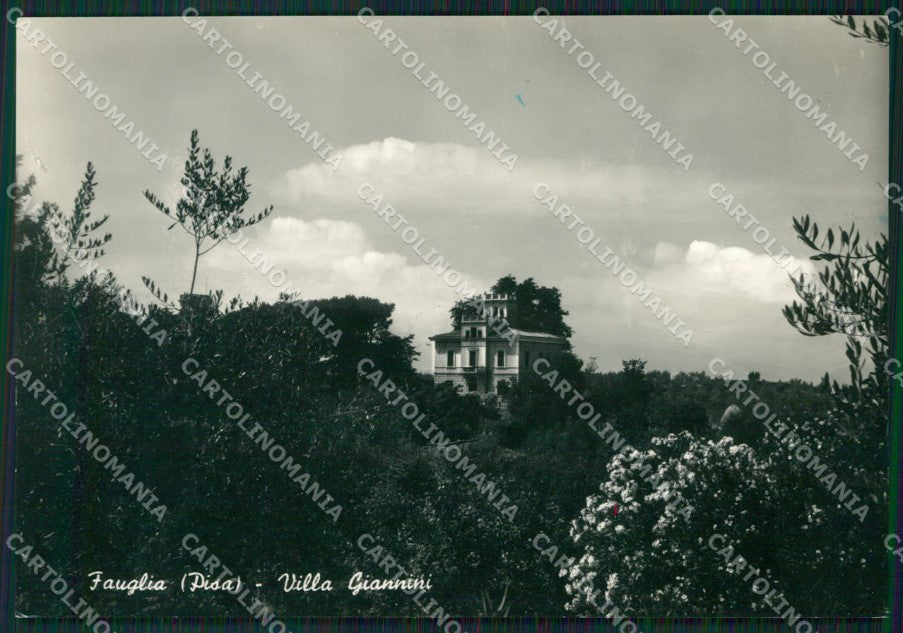 Pisa Fauglia Foto FG cartolina ZK4507 – fronte