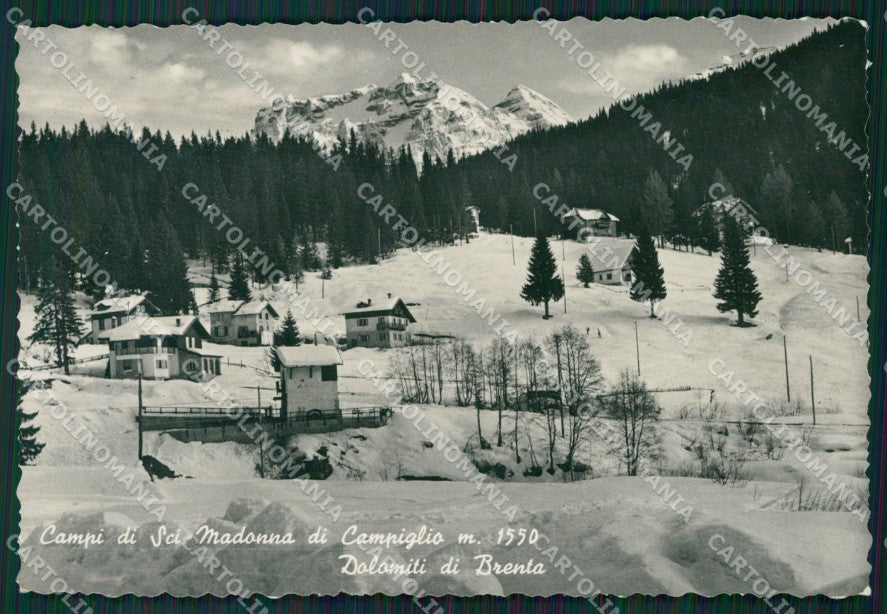 Trento Pinzolo Madonna di Campiglio Sci Foto FG cartolina ZK4516 – fronte