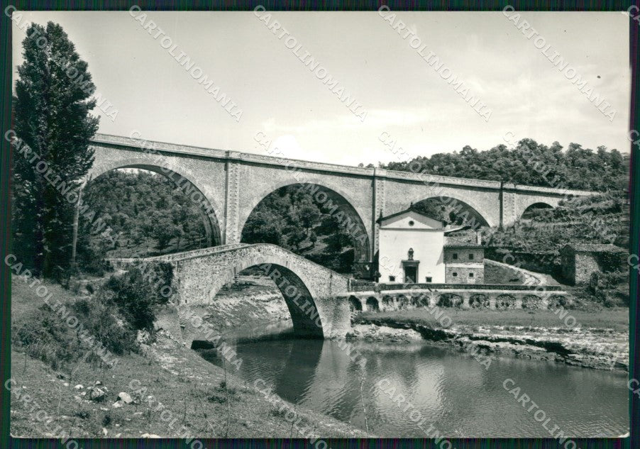 Firenze Mugello ? Foto FG cartolina ZK4546 – fronte