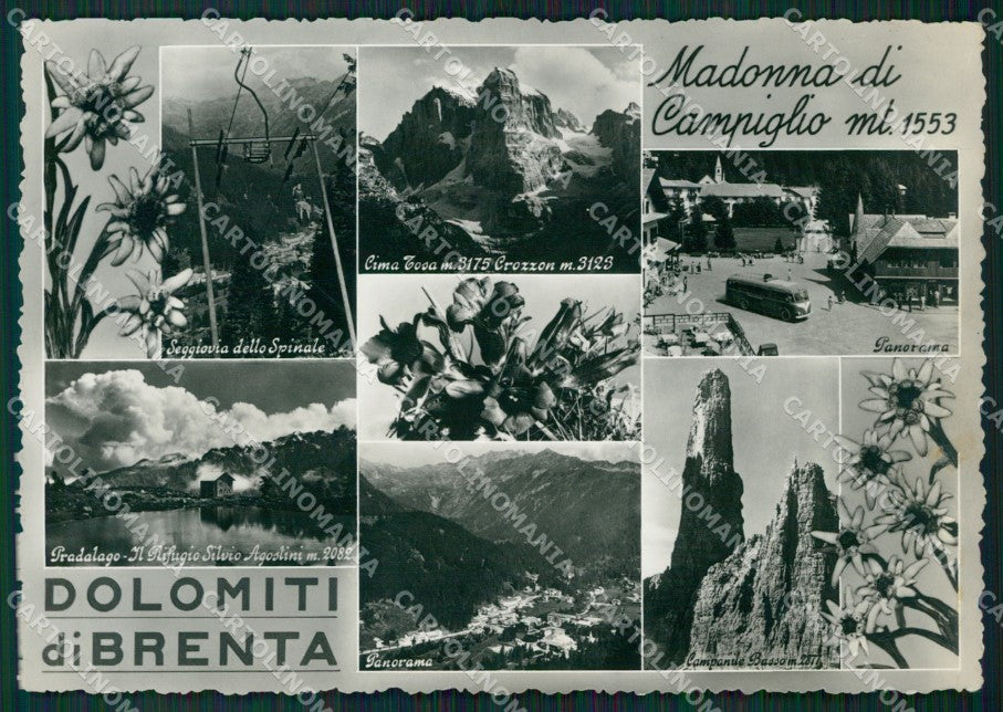 Trento Pinzolo Madonna di Campiglio Foto FG cartolina ZK4551 – fronte