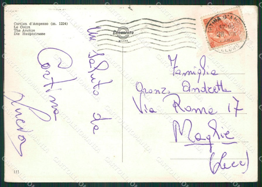 Belluno Cortina D'Ampezzo Foto FG cartolina ZK4565 – retro