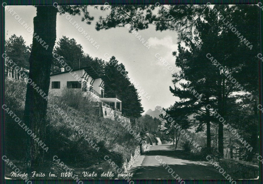 Napoli Vico Equense Monte Faito Foto FG cartolina ZK4567 – fronte