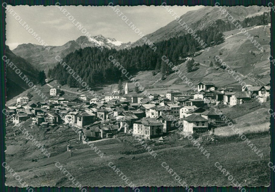 Trento Pejo Foto FG cartolina ZK4572 – fronte