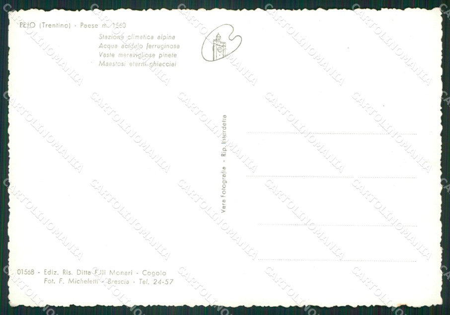 Trento Pejo Foto FG cartolina ZK4572 – retro