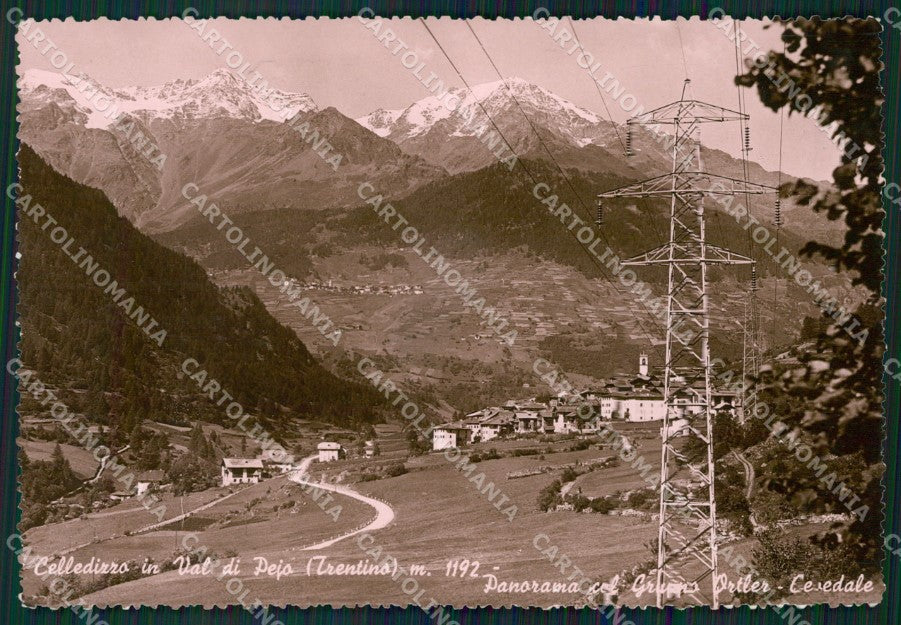 Trento Pejo Celledizzo PIEGHINA Foto FG cartolina ZK4581 – fronte
