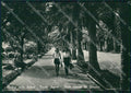 Savona Finale Ligure Foto FG cartolina ZK4618 – fronte