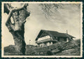 Verbania Stresa Mottarone COLLA Foto FG cartolina ZK4633 – fronte