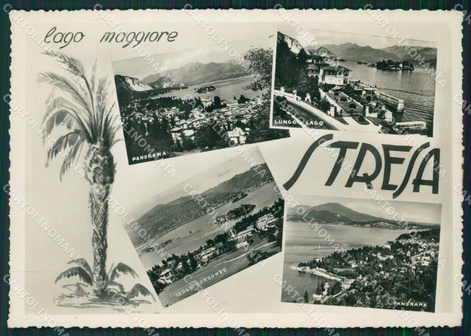 Verbania Stresa Foto FG cartolina ZK4641 – fronte