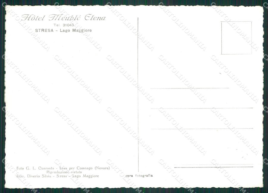 Verbania Stresa Foto FG cartolina ZK4642 – retro