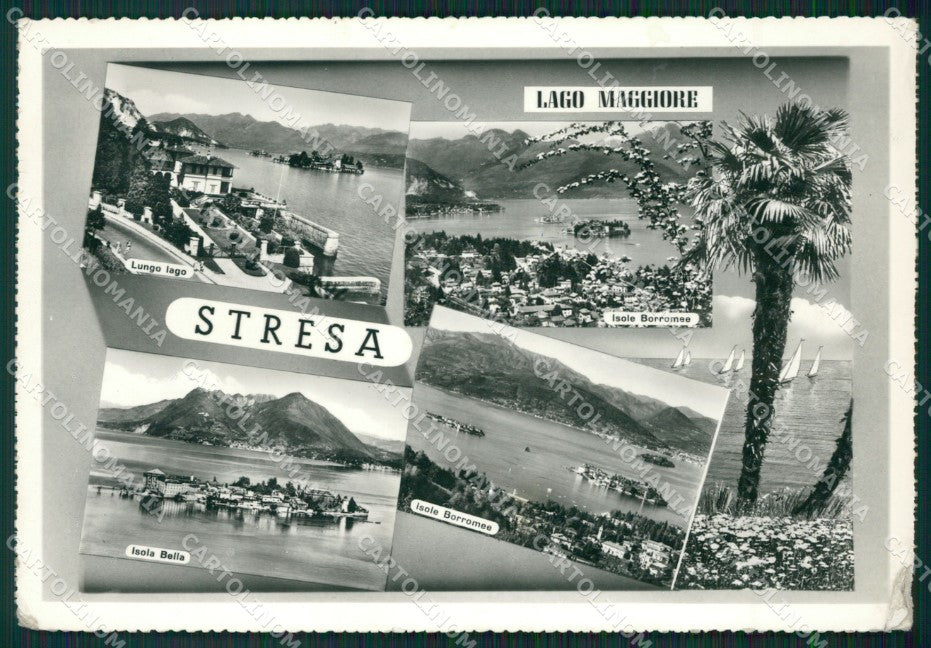 Verbania Stresa Foto FG cartolina ZK4644 – fronte