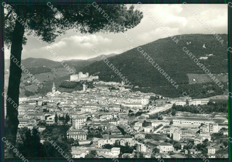 Perugia Spoleto Foto FG cartolina ZK4677 – fronte
