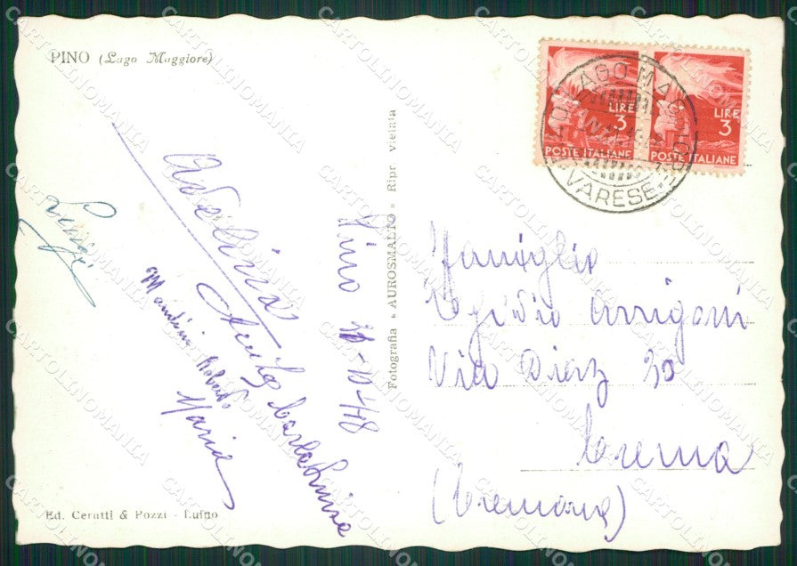 Varese Pino Foto FG cartolina ZK4741 – retro