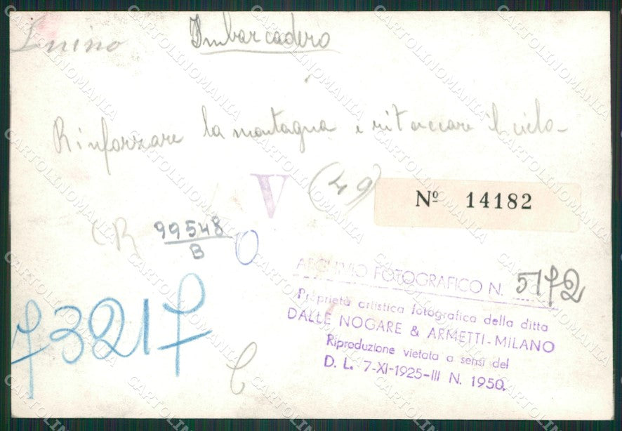 Varese Luino Battello BOZZA Foto FG cartolina ZK4790 – retro