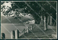 Varese Luino BOZZA Foto FG cartolina ZK4791 – fronte