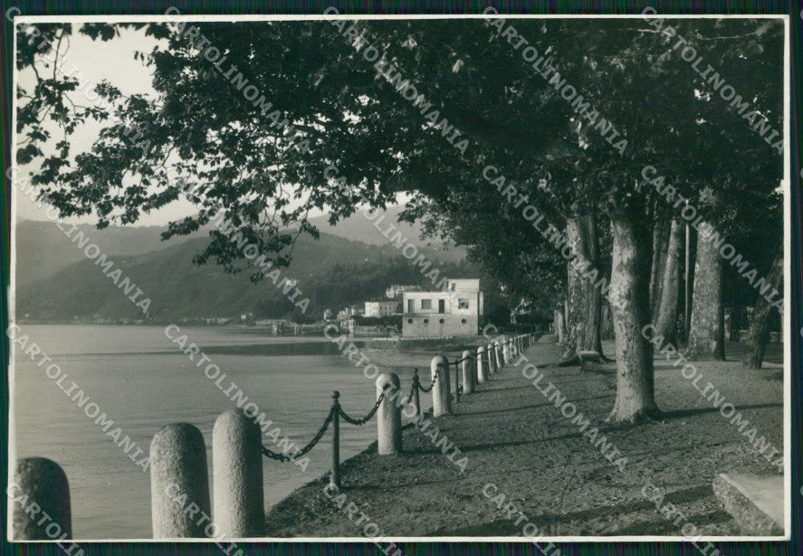Varese Luino BOZZA Foto FG cartolina ZK4791 – fronte