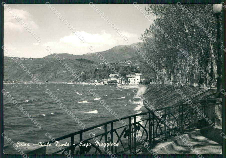 Varese Luino Foto FG cartolina ZK4802 – fronte