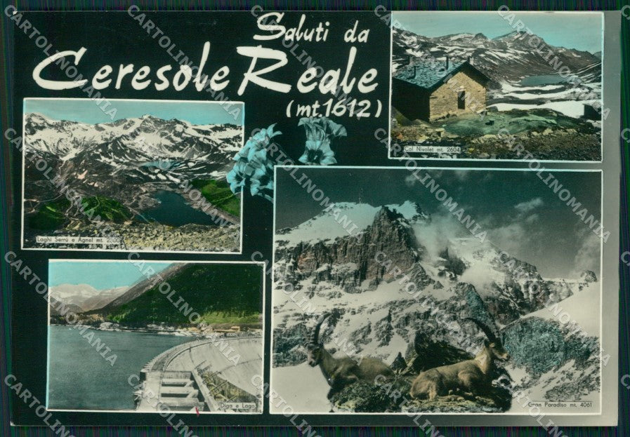 Torino Ceresole Reale Saluti da Foto FG cartolina ZK5237 – fronte