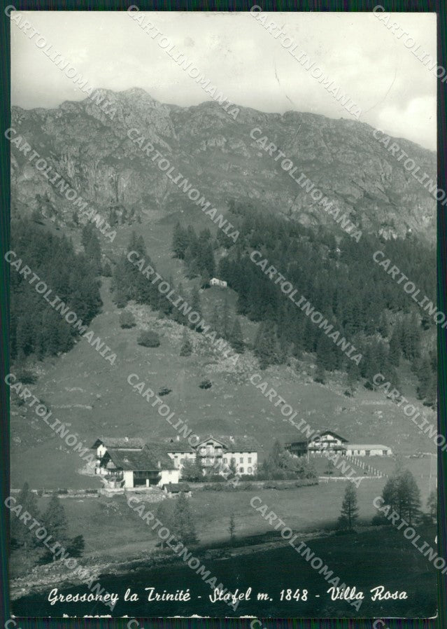 Aosta Gressoney La Trinitè Stafel Foto FG cartolina ZK5270 – fronte