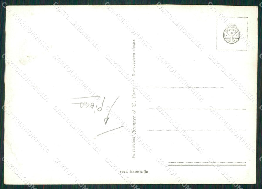 Aosta Valtournanche Mucche PIEGA Foto FG cartolina ZK5290 – retro