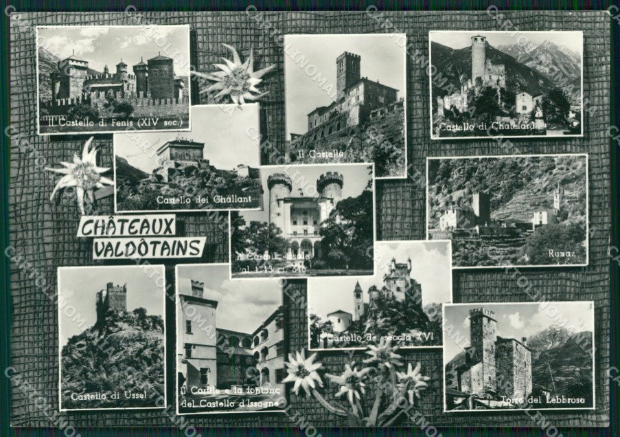 Aosta Gressoney La Trinitè Castelli Valdostani Foto FG cartolina ZK5292 – fronte