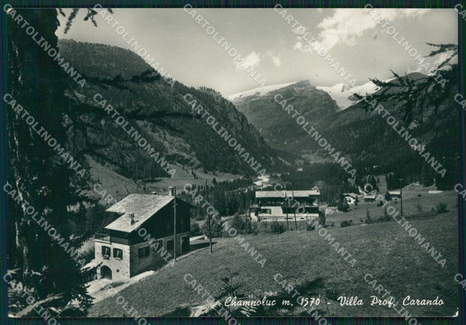 Aosta Ayas Champoluc Foto FG cartolina ZK5303 – fronte