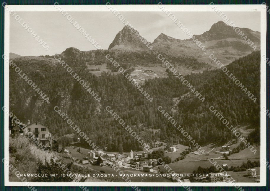 Aosta Ayas Champoluc Foto FG cartolina ZK5304 – fronte