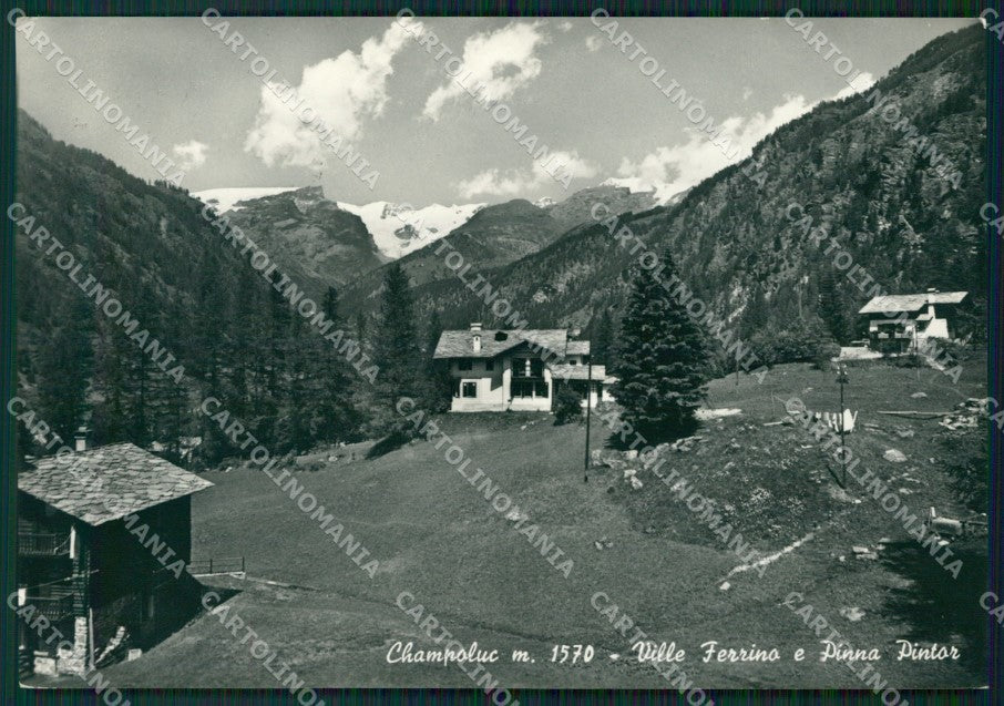 Aosta Champoluc Foto FG cartolina ZK5307 – fronte