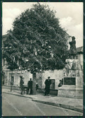 Pescara Tocco Casauria Albero di Natale Foto FG cartolina ZK5359 – fronte