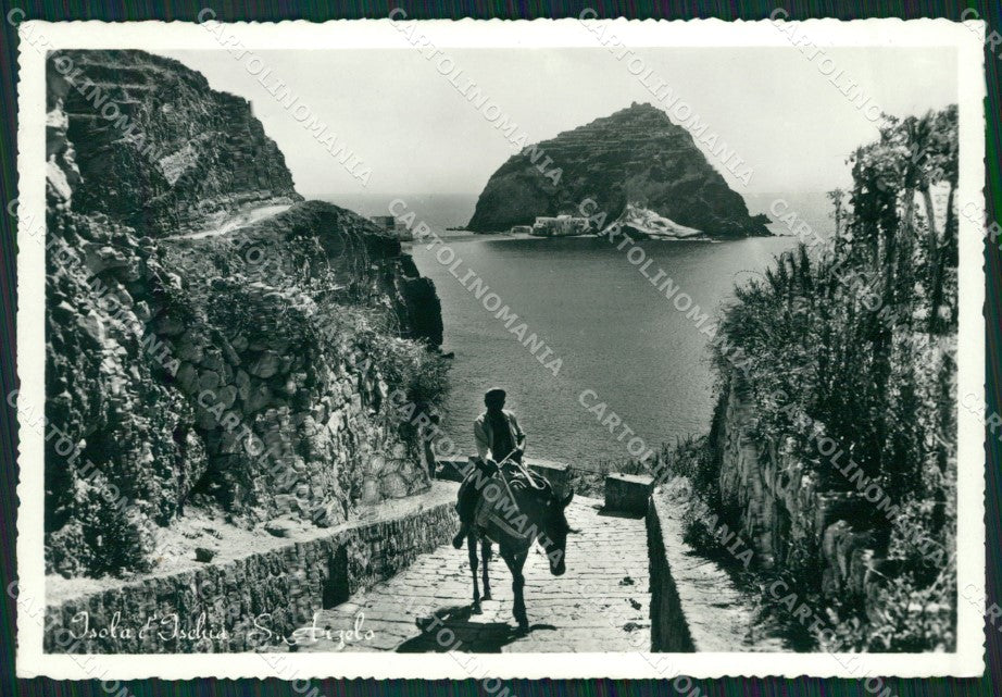 Napoli Isola D'Ischia Sant'Angelo Asino Foto FG cartolina ZK5367 – fronte