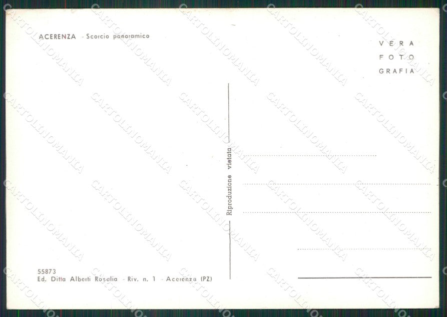 Potenza Acerenza Foto FG cartolina ZK5381 – retro