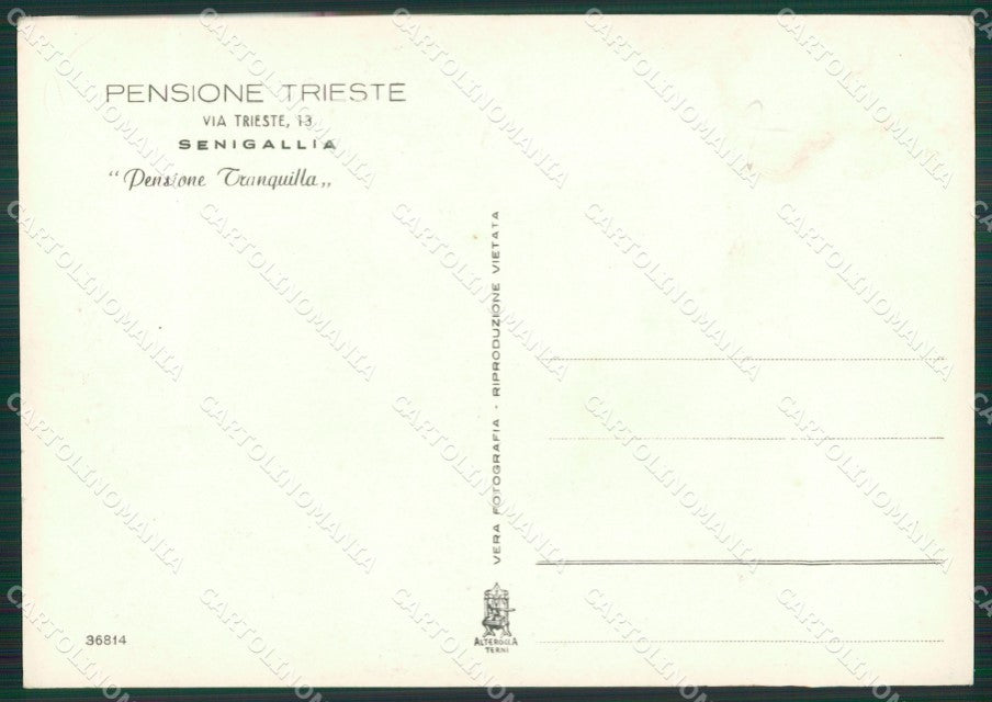 Ancona Senigallia Foto FG cartolina ZK5402 – retro