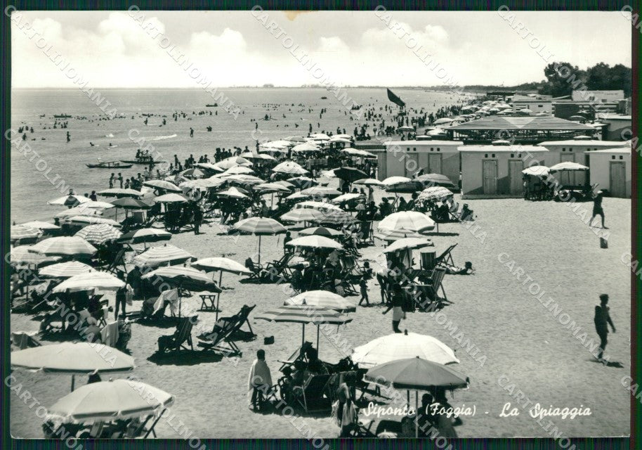 Foggia Manfredonia Siponto Foto FG cartolina ZK5410 – fronte