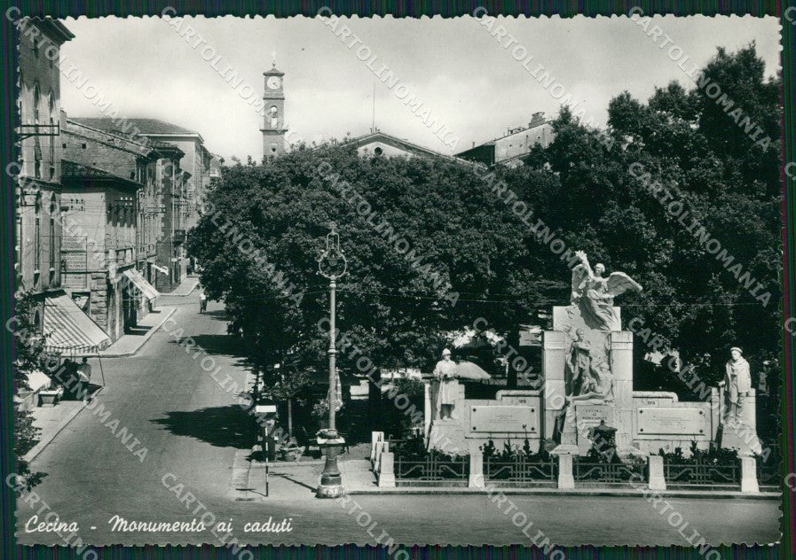 Livorno Cecina Foto FG cartolina ZK5446 – fronte