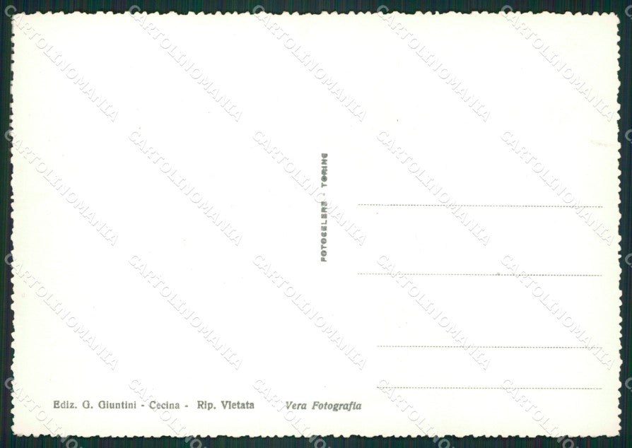 Livorno Cecina Foto FG cartolina ZK5446 – retro