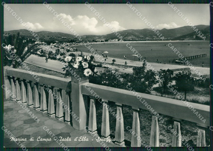 Livorno Isola d'Elba Marina di Campo Foto FG cartolina ZK5455 – fronte