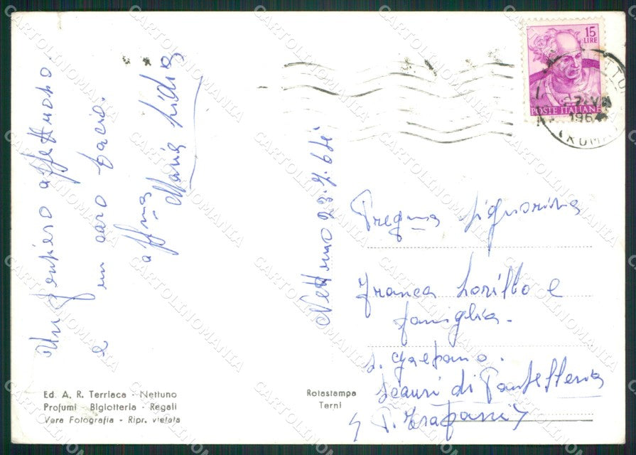 Roma Nettuno STRAPPINO Foto FG cartolina ZK5489 – retro
