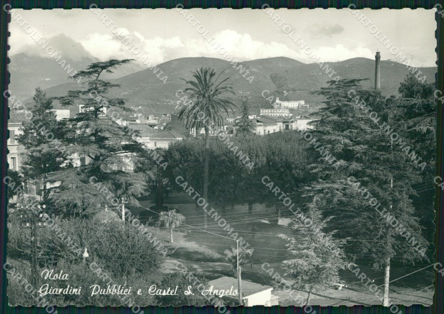 Napoli Nola Foto FG cartolina ZK5509 – fronte