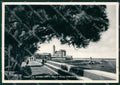Bari Trani Foto FG cartolina ZK5512 – fronte
