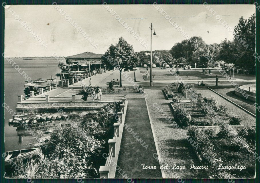 Lucca Viareggio Torre del Lago Puccini Foto FG cartolina ZK5557 – fronte