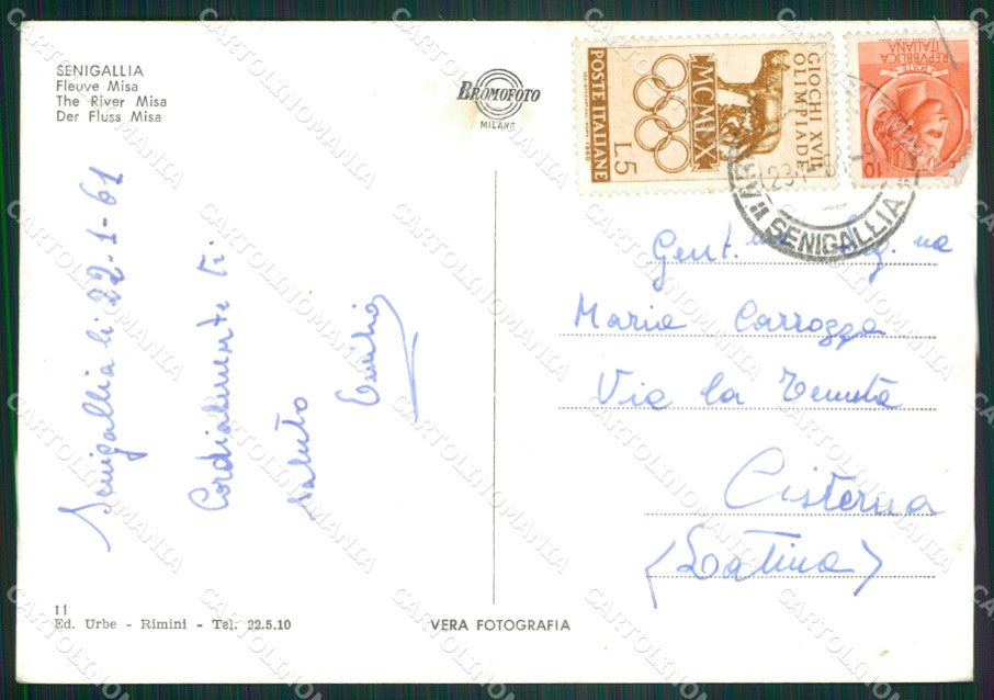Ancona Senigallia Foto FG cartolina ZK5571 – retro
