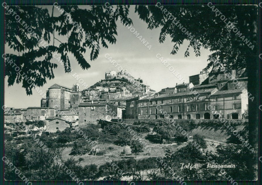 Roma Tolfa Foto FG cartolina ZK5594 – fronte