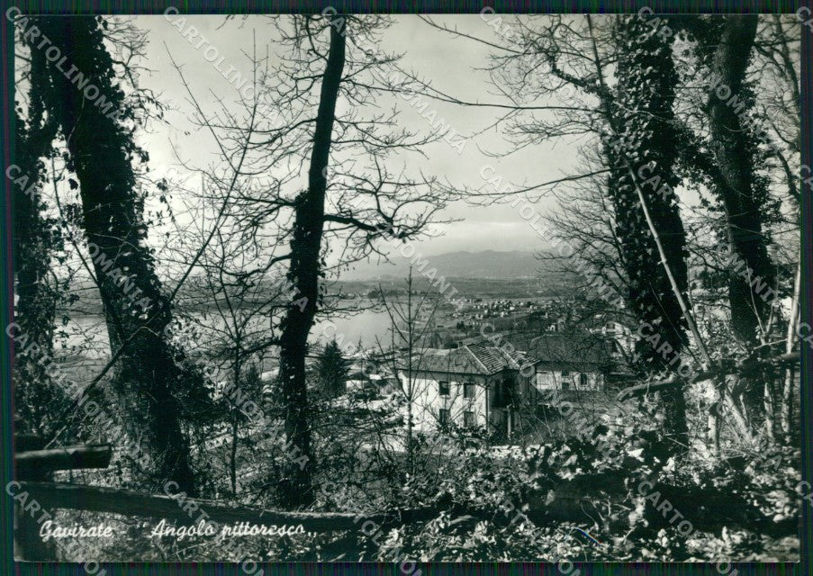 Varese Gavirate Foto FG cartolina ZK5614 – fronte