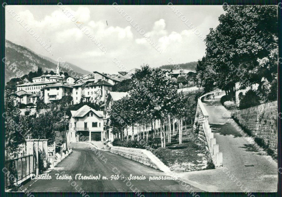 Trento Castello Tesino Foto FG cartolina ZK5632 – fronte