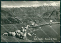 Como Pigra Pecore Foto FG cartolina ZK5737 – fronte