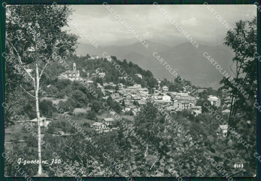 Verbania Gignese PIEGA Foto FG cartolina ZK5781 – fronte