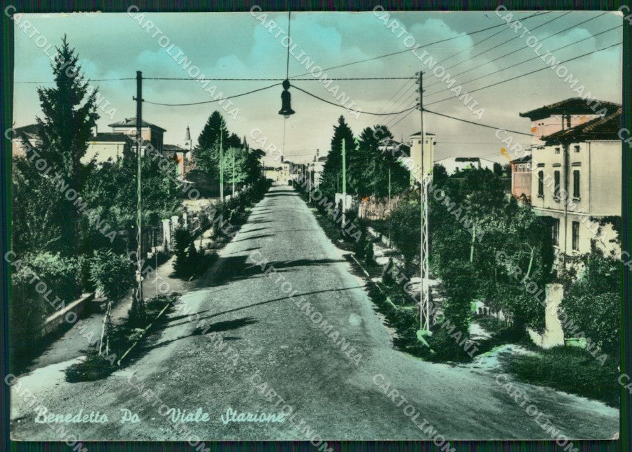 Mantova San Benedetto Po Foto FG cartolina ZK5806 – fronte