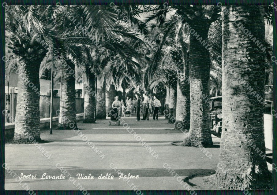 Genova Sestri Levante Foto FG cartolina ZK5826 – fronte