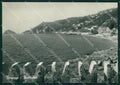 Savona Bergeggi Foto FG cartolina ZK5857 – fronte